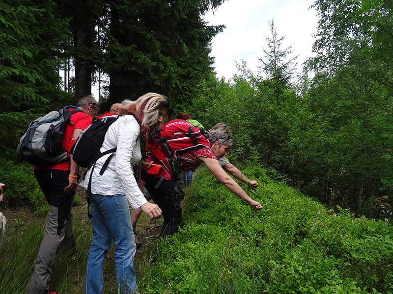 Mohnblütenwanderung